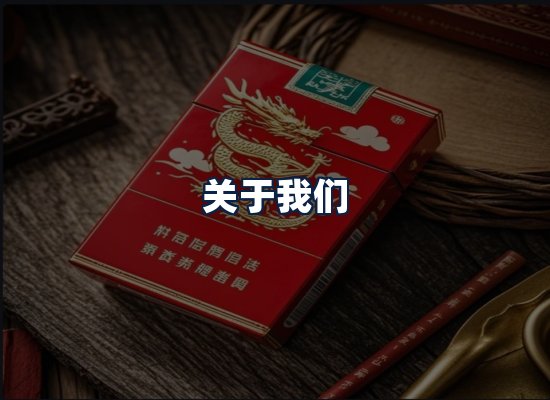 关于我们